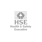 HSE Logo