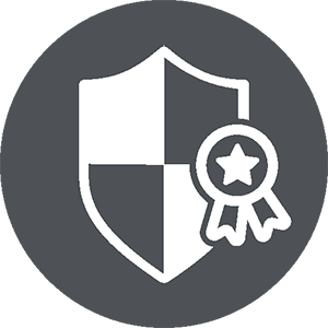 Shield Icon